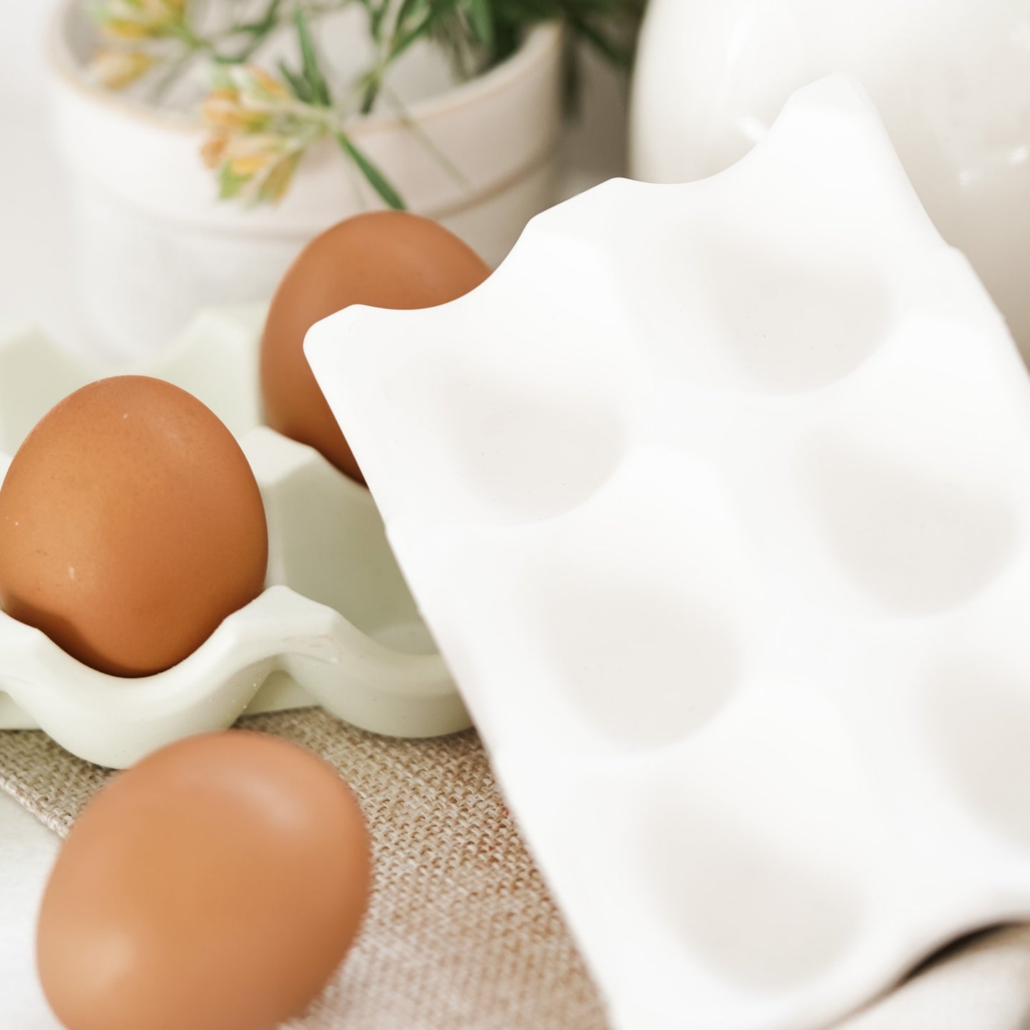 Eve Egg tray