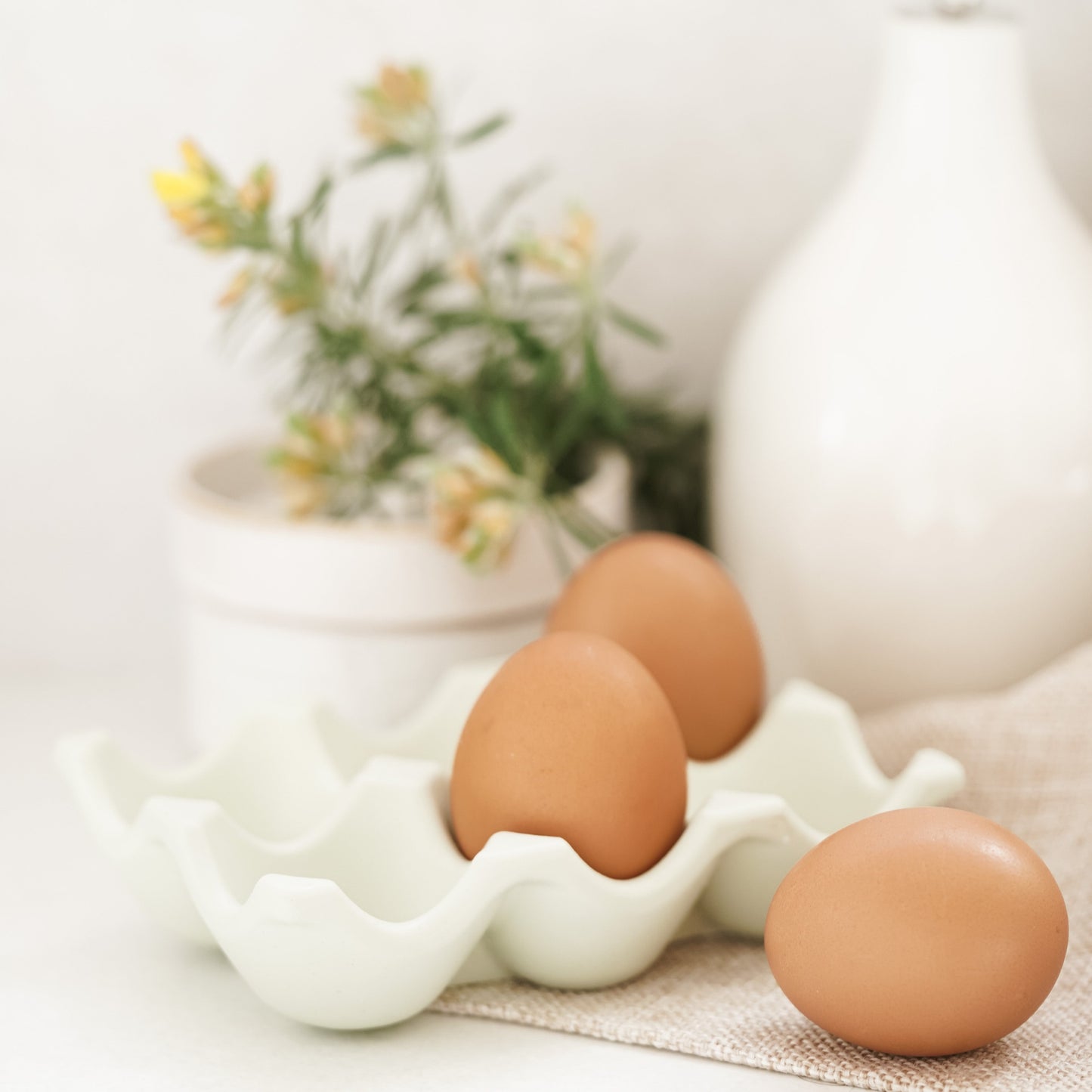 Eve Egg tray